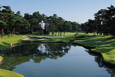 グリーン交悠録