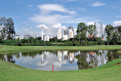 グリーン交悠録