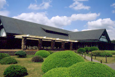 グリーン交悠録