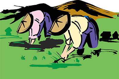 日本の箍の緩みの考察